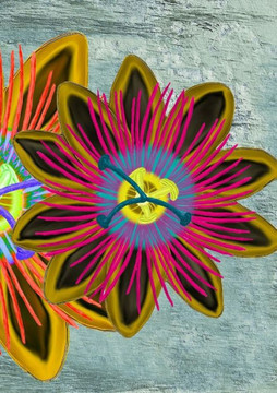 Book Of Friends: Field Of Golden Passion Flowers Book Of Friends: Field Of Golden Passion Flowers