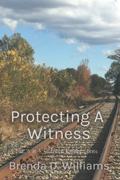 Protecting A Witness: Book 3 A Southern Railway