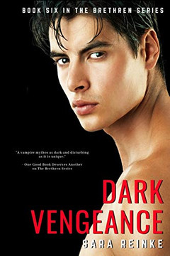 Dark Vengeance (The Brethren Series)
