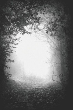 Legendes urbaines, mythes, rumeurs et racontars (Legendes urbaines et phenomenes inexpliques) (French Edition)