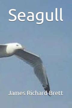 Seagull - 9781690891147
