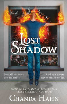 Lost Shadow Lost Shadow