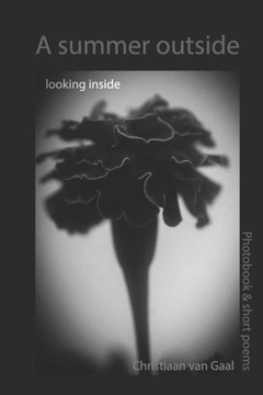 A summer outside Looking inside