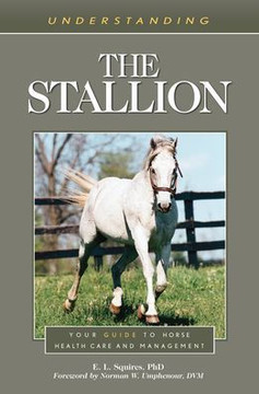 Understanding The Stallion (Understanding Horse Care)