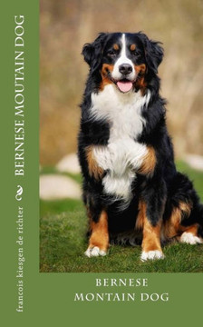 Bernese Moutain Dog