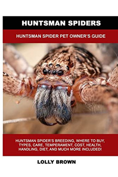 Huntsman Spiders: Huntsman Spider Pet Owner's Guide Huntsman Spiders: Huntsman Spider Pet Owner's Guide