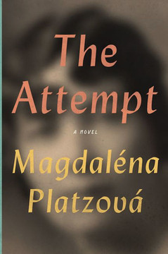 The Attempt - 9781942658085