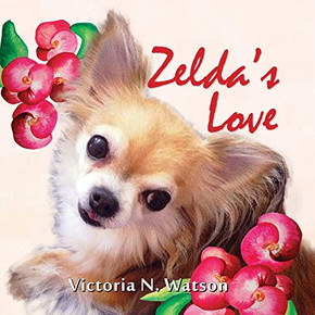 Zelda'S Love