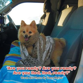 ?Are You Ready? Are You Ready? Are You Red, Red, Ready?? ?Are You Ready? Are You Ready? Are You Red, Red, Ready??
