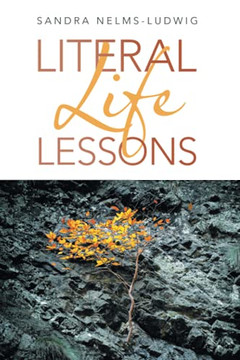 Literal Life Lessons - 9781489735720 Literal Life Lessons - 9781489735720
