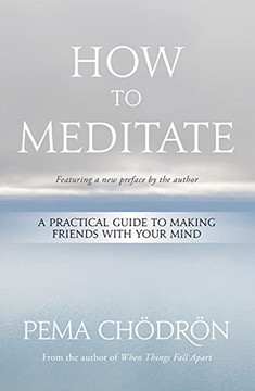 How To Meditate: A Practical Guide To Making Friends With Your Mind