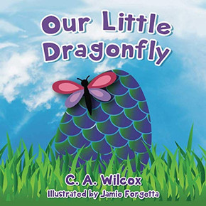 Our Little Dragonfly Our Little Dragonfly