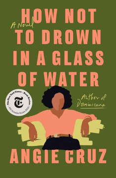 How Not To Drown In A Glass Of Water: A Novel - 9781250208460