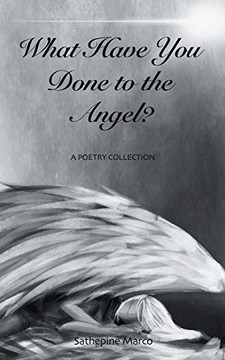What Have You Done To The Angel? What Have You Done To The Angel?