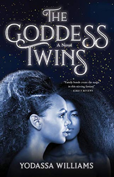 The???Goddess???Twins: A Novel