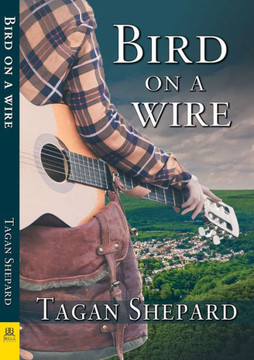 Bird On A Wire - 9781594935954