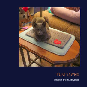 Yuri Yawns: Images From Atwood Yuri Yawns: Images From Atwood