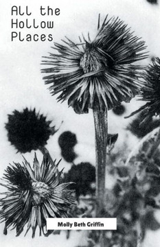 All The Hollow Places