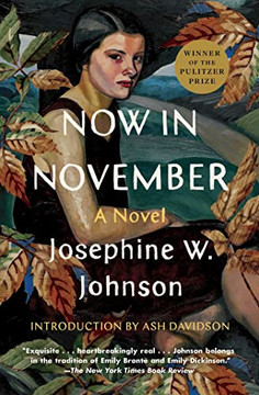 Now In November: A Novel