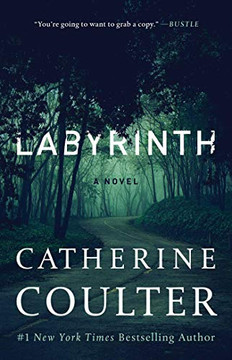 Labyrinth (23) (An FBI Thriller)