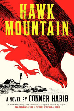 Hawk Mountain: A Novel - 9781324064862