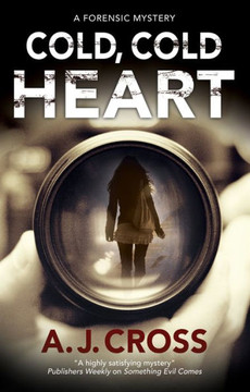 Cold, Cold Heart (A Kate Hanson Mystery, 5) - 9781847519467