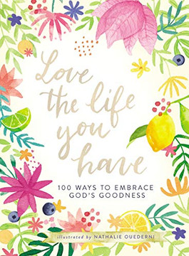 Love the Life You Have: 100 Ways to Embrace God?Æs Goodness Love the Life You Have: 100 Ways to Embrace God?Æs Goodness