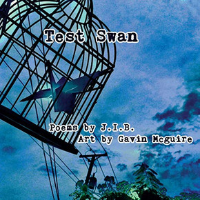 Test Swan Test Swan