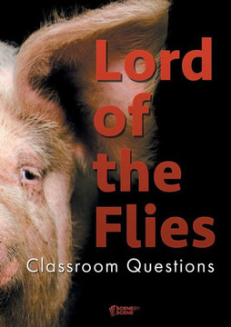 Lord Of The Flies Classroom Questions