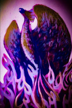 Purple Fire Phoenix Rise Purple Fire Phoenix Rise