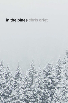 in the pines - 9781945734038