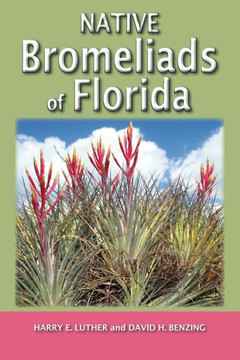 Native Bromeliads Of Florida