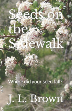 Seeds On The Sidewalk: Where Did Your Seed Fall? - 9781732599710