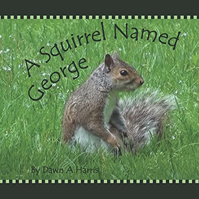 A Squirrel Named George A Squirrel Named George