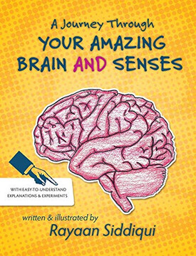 A Journey Through Your Amazing Brain and Senses
