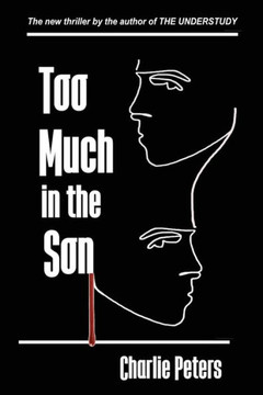 Too Much In The Son - 9781960415042