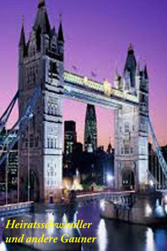 Heiratsschwindler und andere Gauner (Die Hofdamen) (German Edition)