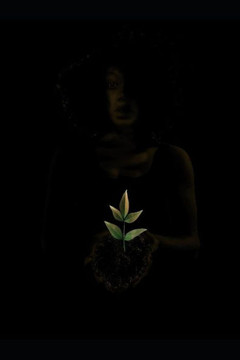 Resilience At Twenty Four