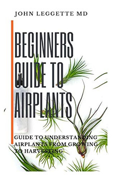 BEGINNERS GUIDE TO AIR PLANTS: Guide to understanding air plants from growing to harvesting