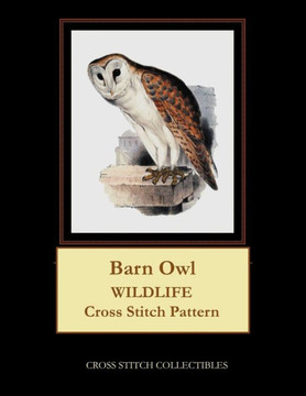 Barn Owl: Wildlife Cross Stitch Pattern