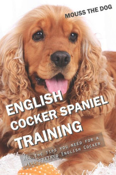 ENGLISH COCKER SPANIEL TRAINING: All the tips you need for a well-trained English Cocker Spaniel