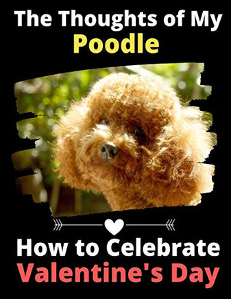 The Thoughts of My Poodle: How to Celebrate Valentine's Day