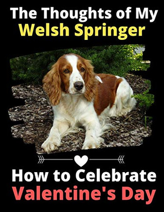 The Thoughts of My Welsh Springer: How to Celebrate Valentine's Day