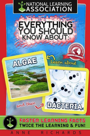 Everything You Should Know About Algae and Bacteria