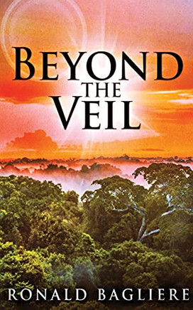 Beyond The Veil - 9784867453858