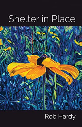 Shelter In Place - 9781646627677