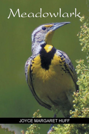 Meadowlark - 9781984524218