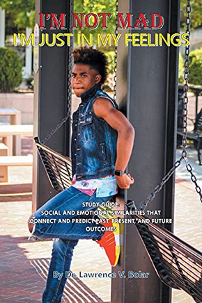 I'M Not Mad I'M Just In My Feelings: Study Guide: Social And Emotional Similarities That Connect And Predict Past, Present, And Future Outcomes