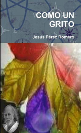 Como Un Grito (Spanish Edition)