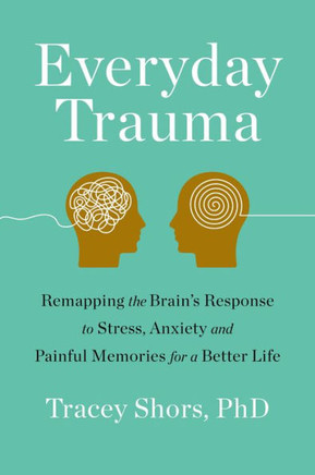 Everyday Trauma: Remapping The Brain's Response To Stress, Anxiety, And Painful Memories For A Better Life - 9781250247018